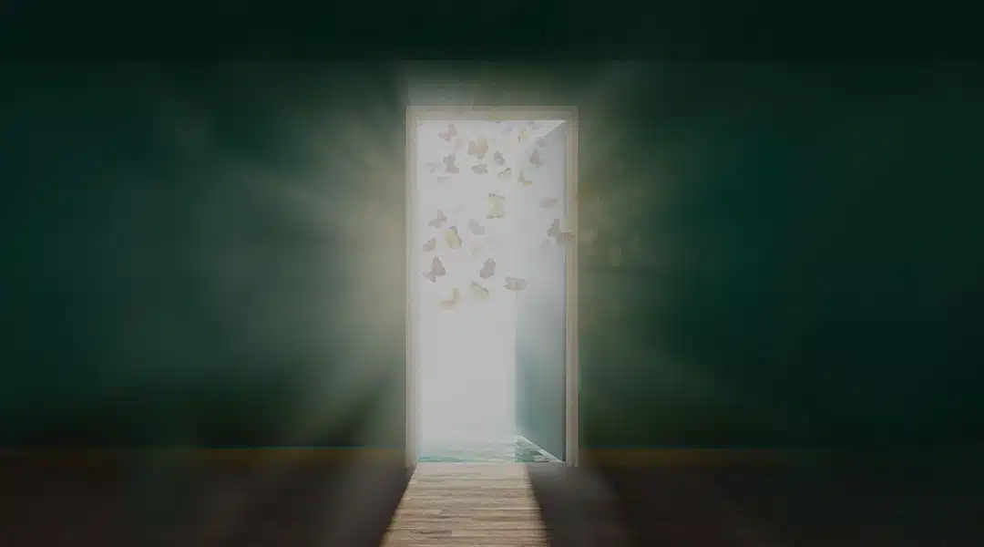 Best Life Counseling - Preview